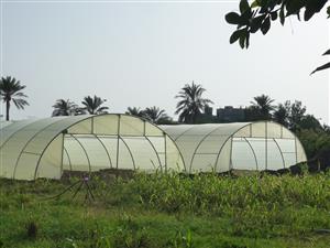 Green houses
