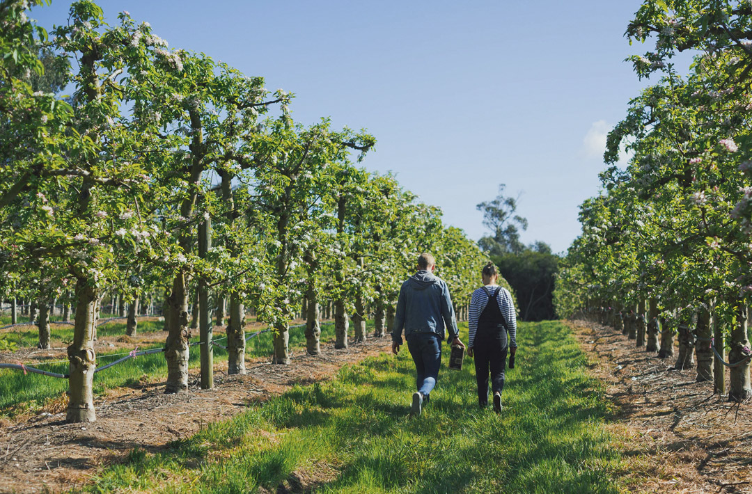 Farm 2 - home - pic4