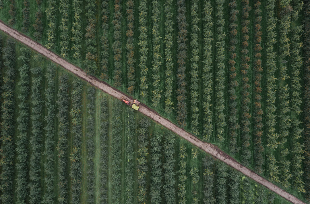 Farm 2 - home - pic5